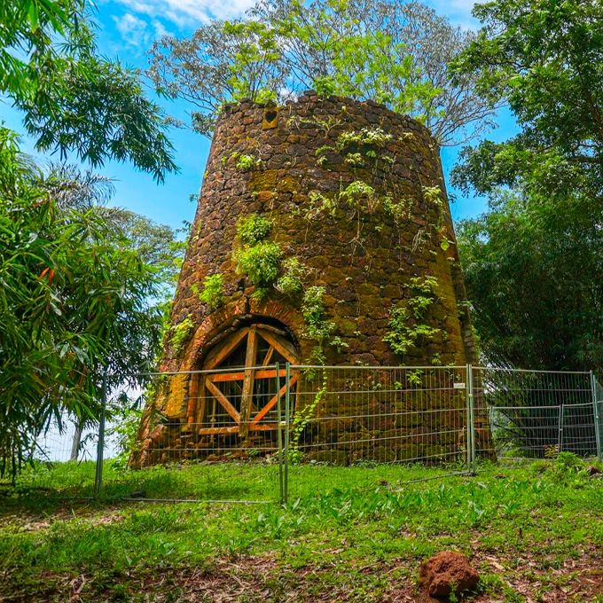 Moulin à vent-RM